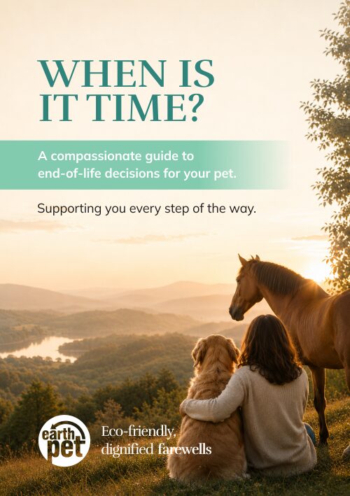 when-is-it-time-cover